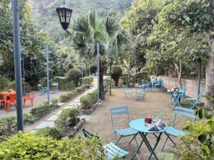 Vegan Cafes in Rishikesh