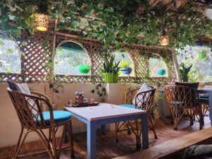 Vegan Cafes in Rishikesh