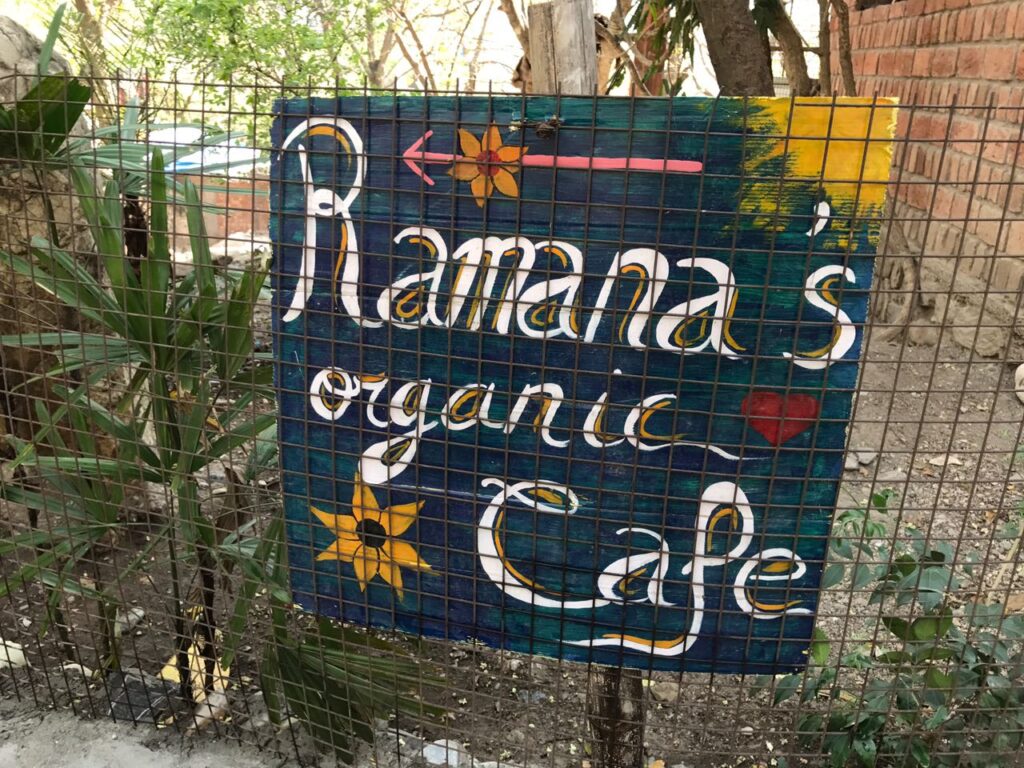 Top 10 Organic Food Cafes in Rishikesh